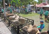 Associação Rural de Bagé - Parque Visconde de Ribeiro Magalhães