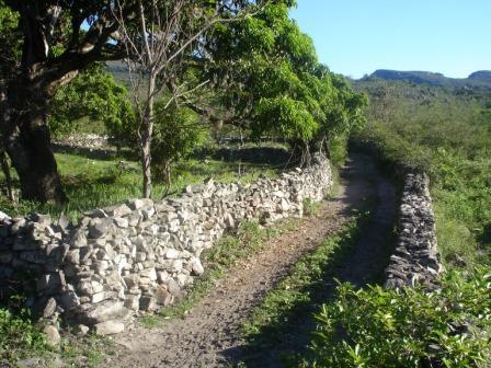 Imagem passeio