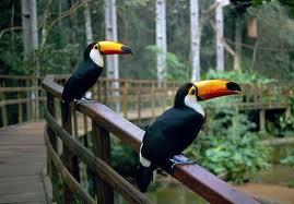 Imagem passeio
